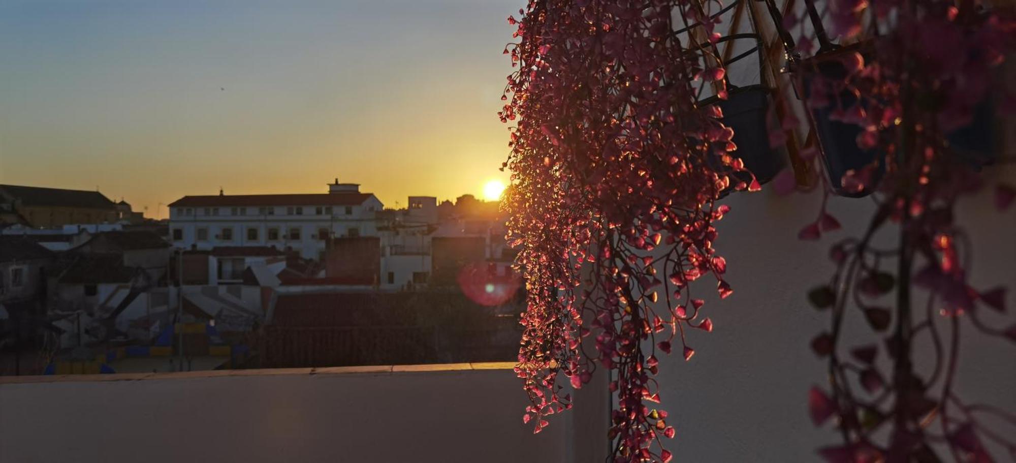 La Luz De San Eloy Apartment Kordoba Bagian luar foto